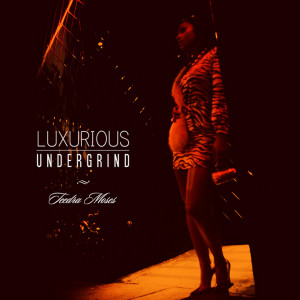 Teedra Moses的专辑Luxurious Undergrind (Explicit)