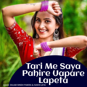 Listen to Sewa Sewa Hai Koytur Saga Ke song with lyrics from Sulesh Singh Markam