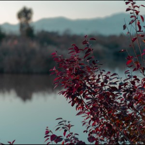 Listen to River Outflow song with lyrics from Spa Music Relaxation