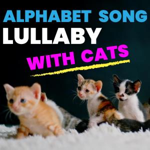 อัลบัม Alphabet Song Lullaby Cats ศิลปิน Have Fun Teaching