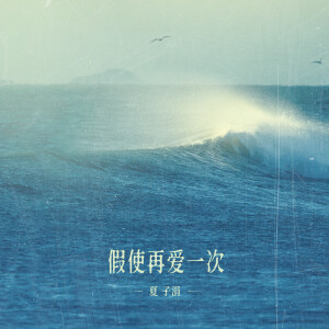 Album 假使再爱一次 from 夏子涓