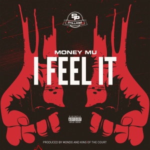 Album I Feel It (Explicit) from Money Mu