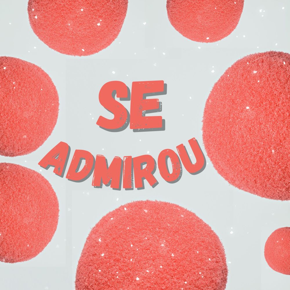 Se Admirou