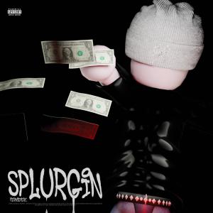 收聽Fernieperc的Splurgin (feat. zakaryamesrar) (Explicit)歌詞歌曲