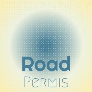 Various的专辑Road Permis