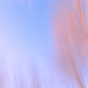 Album Breathe from 