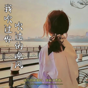 Album 我吹过你吹过的晚风 from 颜末的十年