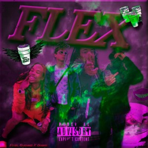 Listen to FLEX (Explicit) song with lyrics from DirtySpriteGang