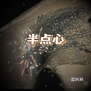 Listen to 半点心 (DJ版) song with lyrics from 菜阮阮
