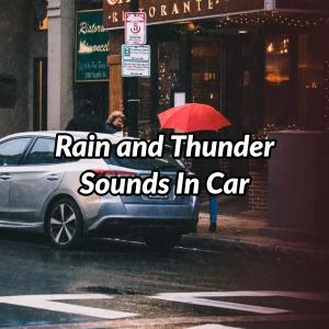 ดาวน์โหลดและฟังเพลง Rain Inside Car พร้อมเนื้อเพลงจาก Australian Nature