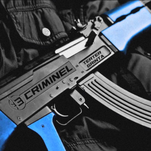 Listen to 1.3 Criminel (Explicit) song with lyrics from Terter