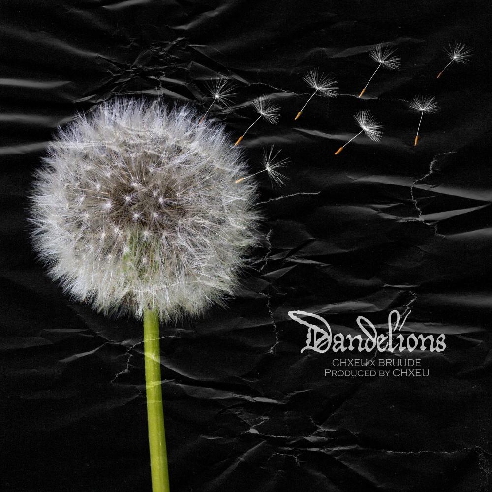 Dandelions