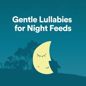 Album Gentle Lullabies for Night Feeds from Lullaby Orchestra
