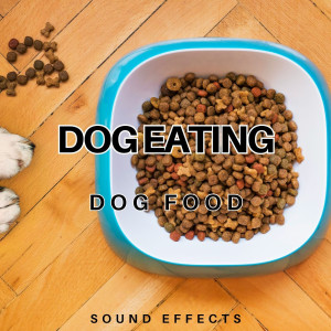 Listen to Dog Eating Dog Food Sound Effects song with lyrics from Sound Effects Nation