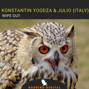 收听Konstantin Yoodza的Wipe Out歌词歌曲