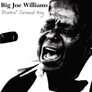 收聽Big Joe Williams的Vitamin A歌詞歌曲