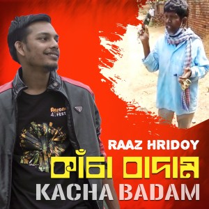 Listen to Kacha Badam song with lyrics from Raaz Hridoy