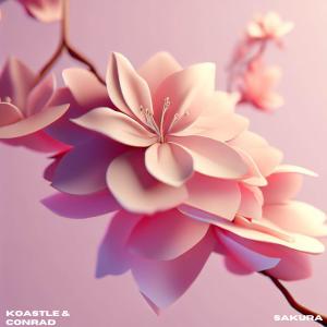 Album Sakura from Conrad