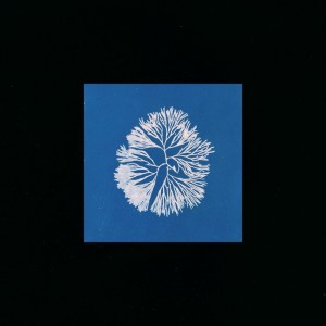 收聽James Tillman的Ms. Urbane歌詞歌曲