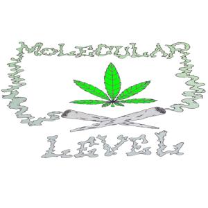 อัลบัม unknown (Explicit) ศิลปิน God Molecule