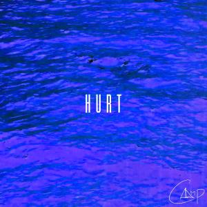 อัลบัม Hurt ศิลปิน Camp