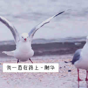 收聽謝華的我一直在路上歌詞歌曲