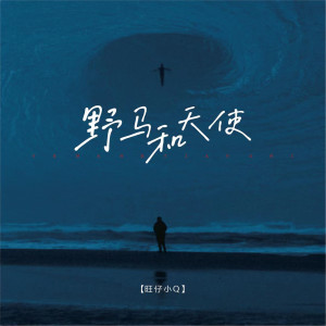 Listen to 野马和天使 (女版伴奏) song with lyrics from 旺仔小Q