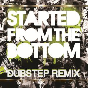 Album Started From The Bottom - Single from Dubstep Hitz