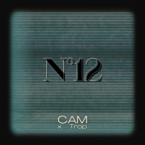 Cam的專輯Nº12