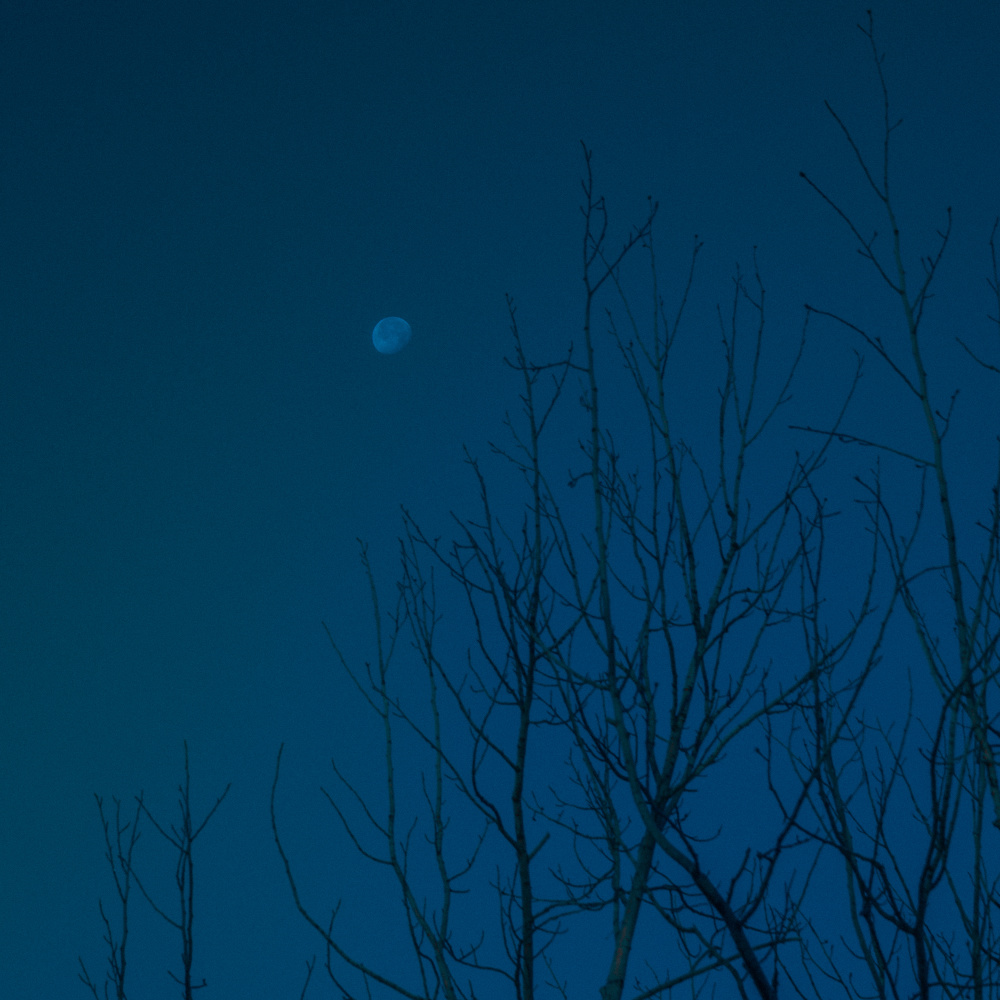 lunar
