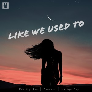 ดาวน์โหลดและฟังเพลง Like We Used To พร้อมเนื้อเพลงจาก Reality Run