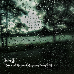 Forest: Rain and Nature Relaxation Sound Vol. 2