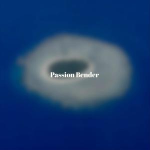 Album Passion Bender from Various