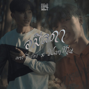 ดาวน์โหลดและฟังเพลง อมีลดา พร้อมเนื้อเพลงจาก เพชร ทินภัทร