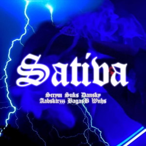 Album SATIVA (Explicit) from $crym