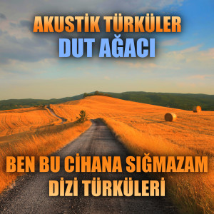Enes Yolcu的專輯Akustik Türküler: Dut Ağacı (Ben Bu Cihana Sığmazam Dizi Türküleri)