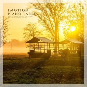 Album Tranquil And Calm Time from Korea Various Artists