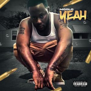 Moolo的專輯Yeahh (Explicit)