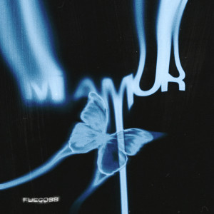 Album Mi Amor (Explicit) from Fuego88