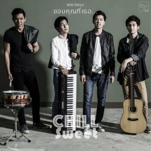 อัลบัม ขอบคุณที่เธอ… ศิลปิน Chill Sweet