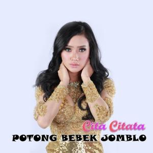 ดาวน์โหลดและฟังเพลง Potong Bebek Jomblo พร้อมเนื้อเพลงจาก Cita Citata