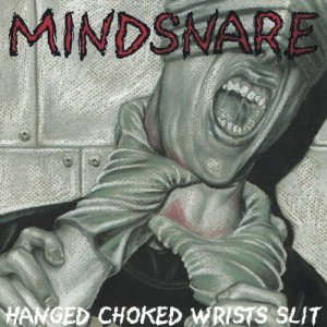 收聽Mindsnare的Never to Return歌詞歌曲