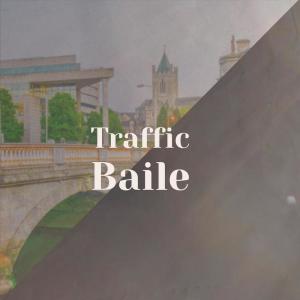 Album Traffic Baile from 