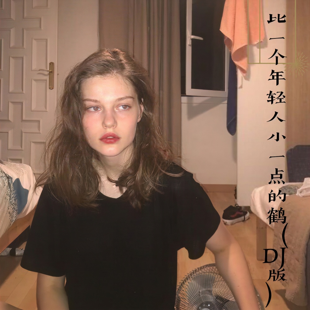 不是爱情的枪 (Remix)