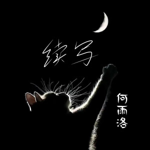 Album 续写 from 何雨洛