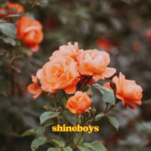 Shineboys的专辑ดอกไม้มีตำหนิ (Unique Flower)