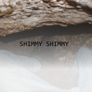 Album Shimmy Shimmy from Various