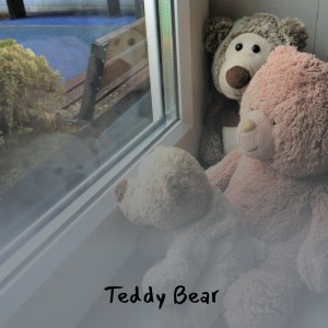 收聽Ferlin Husky & The Hushpuppies的Teddy Bear歌詞歌曲