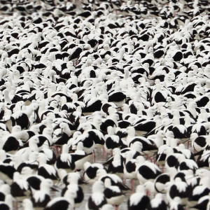 收聽Stella Donnelly的Flood歌詞歌曲