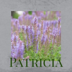 Various的专辑Patricia